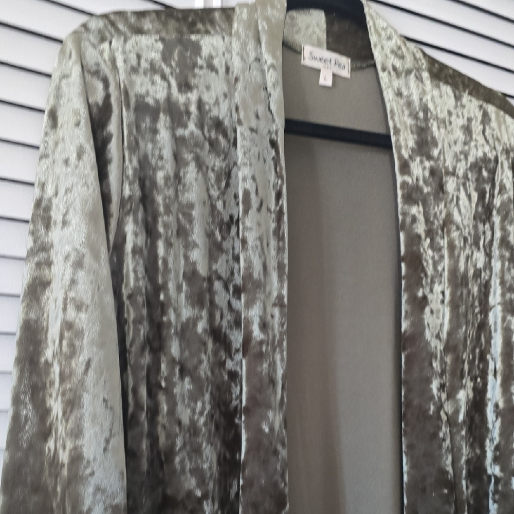 Sweet Pea Crushed Velvet Jacket - Picture 3 of 8